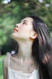 载你归程偿我悲欢小说全文免费