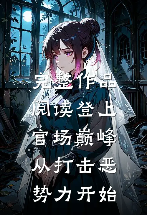 完整作品阅读登上官场巅峰,从打击恶势力开始的