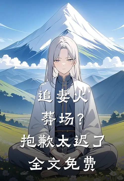 追妻火葬场?抱歉,太迟了全文免费观看