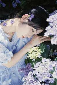 深情迟暮不抵寒已完结