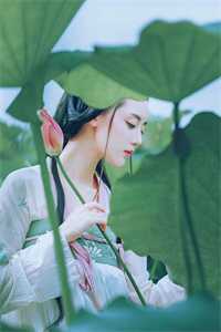 风雪经年梦已醒完整阅读