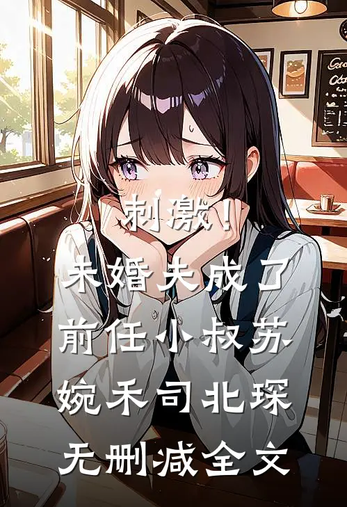 刺激！未婚夫成了前任小叔苏婉禾司北琛无删减全文