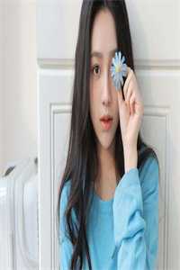 凤不栖桐人不语萧奕珩楚疏禾全集