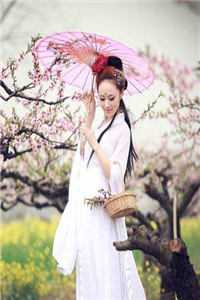 利用复仇后，被皇子哥哥强制侵占精品篇