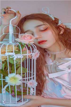 难抵风月重还小说免费