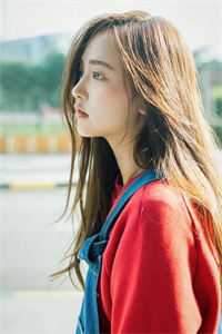 烟火终只一瞬前文+后续