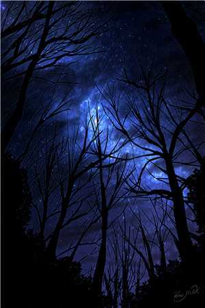 重活一世，我笑看婆家自寻死路小说在线阅读免费