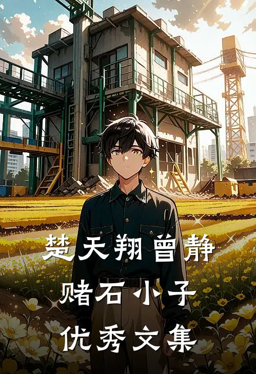 楚天翔曾静赌石小子优秀文集