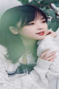 春风不顾桃花雪完整版