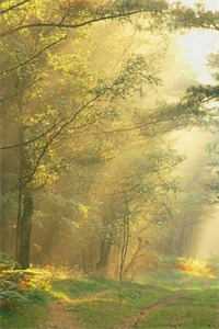 考上科大后，我被闺蜜举报了全文章节