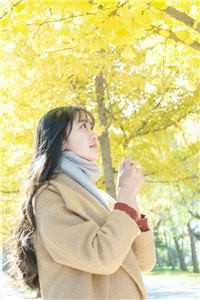 青灯掌旧颜全章节阅读