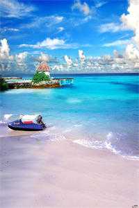 第七年春雪未至连载