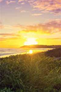 豪门妻子怀了助理的孩子，却骂我小肚鸡肠全本小说推荐