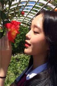 落日不曾回望我必读文