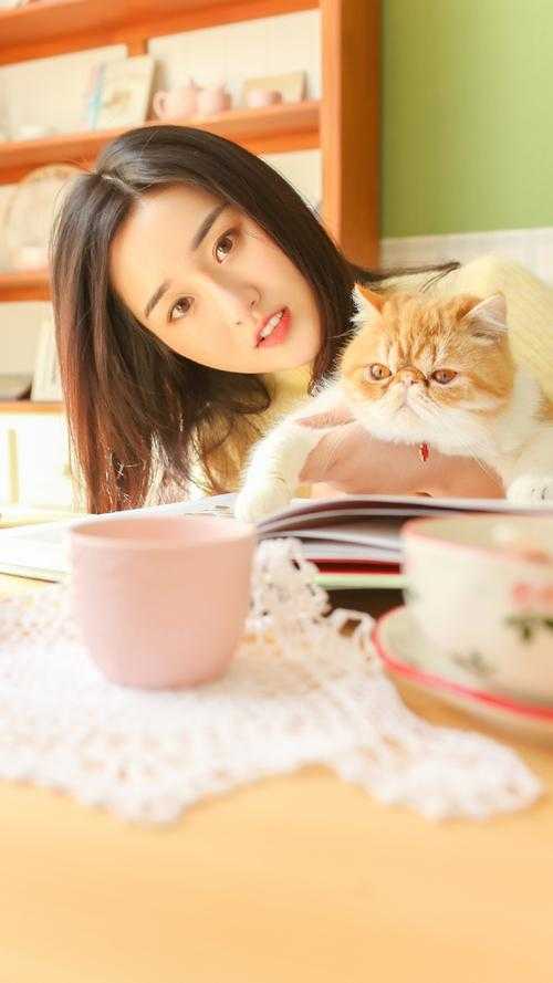 晚风寄往无尽夏前文+番外