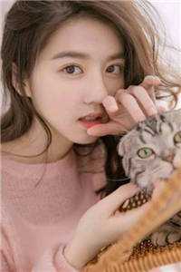 小姑子把车撞坏了，大嫂劝我别计较，可那车是她的啊全文+免费