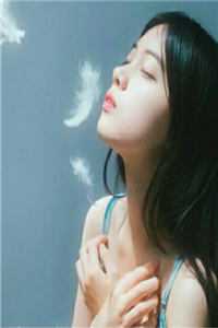 十三载淡彩总诉情小说免费