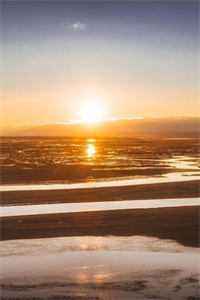 重生后拒救瘫痪京圈阔少全章节