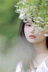 爱如烟花易冷爆火全网