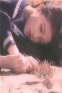 漫漫长夜终有黎明人气小说