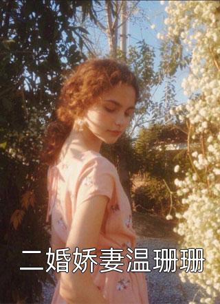 允我，过线最新热门小说