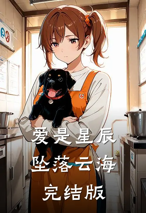 爱是星辰,坠落云海完结版