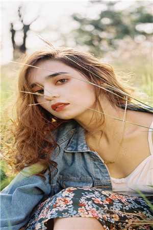 落日不曾回望我小说全文免费