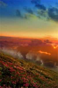 七零真千金：军长爹和渣夫火葬场完整作品