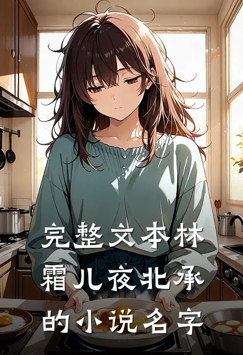 完整文本林霜儿夜北承的小说名字