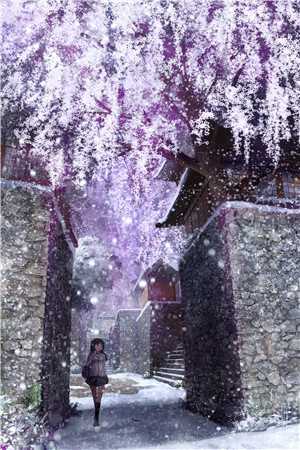 旧梦无痕终成空小说免费阅读全文