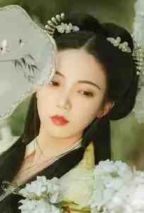 晚风寄往无尽夏无删减版