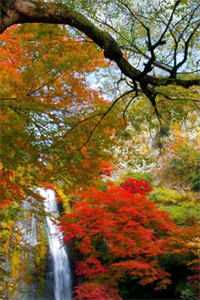 越空山不见草木浅热门推荐