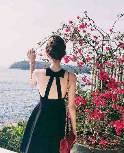 银河渡口追风月全章节阅读