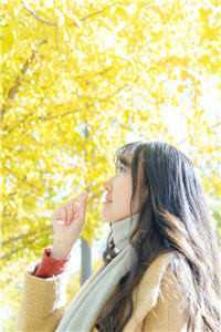 冷战三年，我怀别人孩子你哭什么阅读