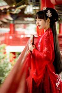 萤火绕过旧梅梢小说全文免费