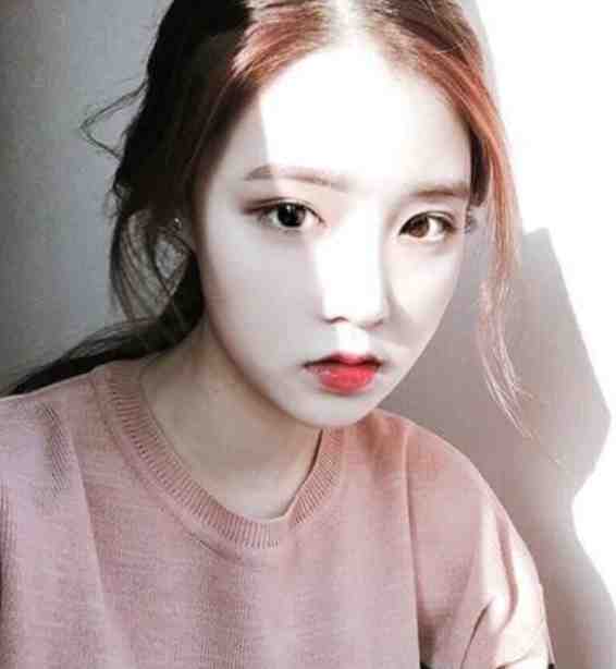 爱意随风消散小说大结局