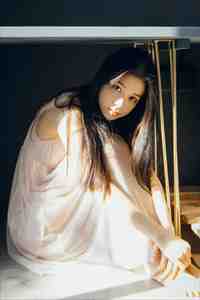 不见桐花万里路by